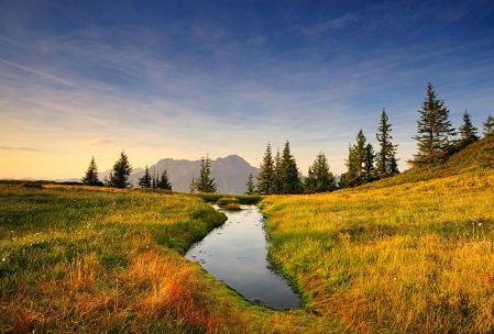 landschaft mit wiese und bach